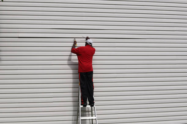 Best Siding Painting and Refinishing  in Amador Pines, CA